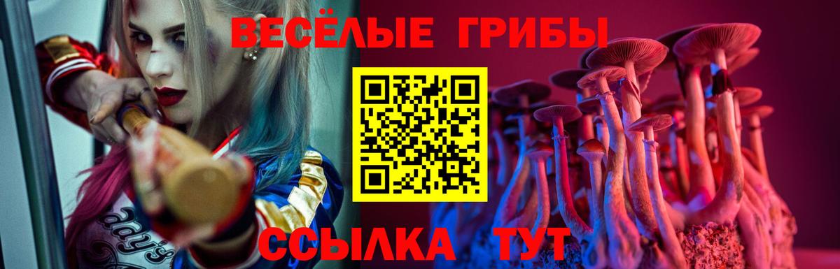 Углич  Галлюциногенные грибы Psilocybine cubensis  Галлюциногенные грибы ЛСД  Вход с VPN 